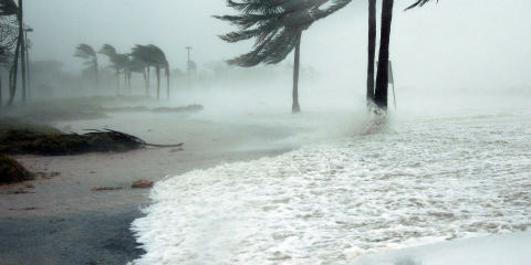 How to Prepare for Hurricane Season