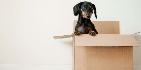 Moving By Yourself: Expert Advice for How To Move Alone